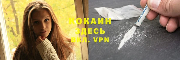 PSILOCYBIN Переславль-Залесский
