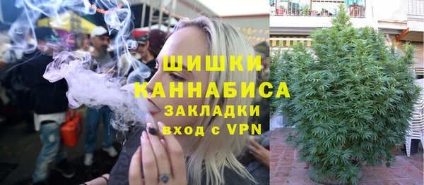мдпв Пересвет
