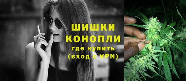 PSILOCYBIN Переславль-Залесский