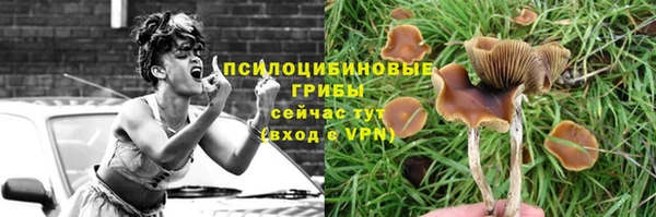 мдпв Пересвет