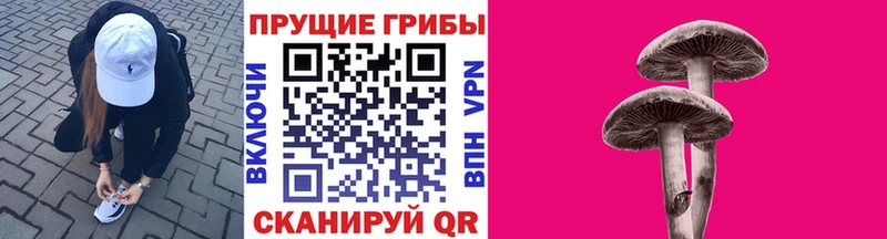 Галлюциногенные грибы прущие грибы Кириши
