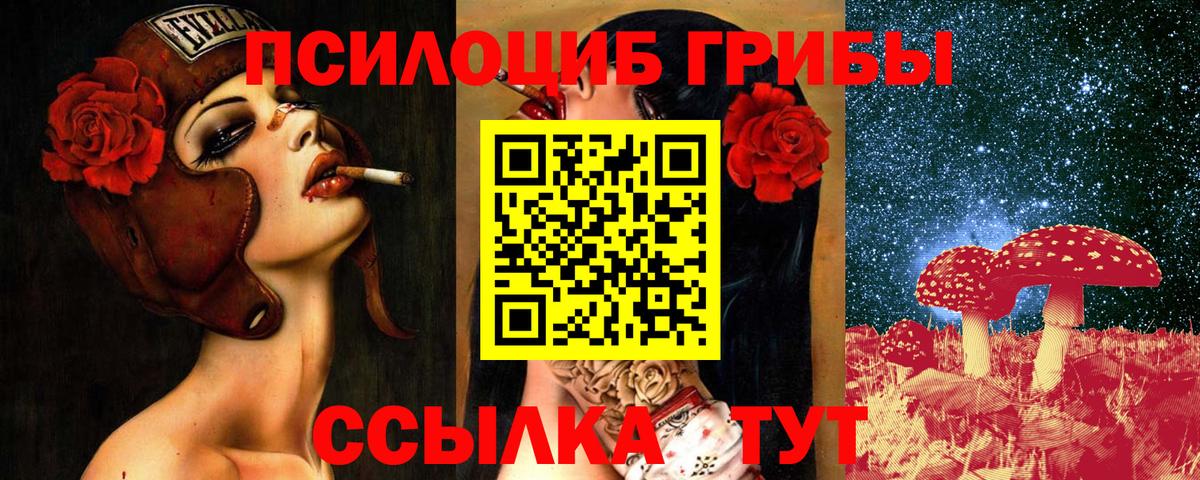 Кириши  Псилоцибиновые грибы Psilocybine cubensis  закладка  Псилоцибиновые грибы Cubensis  Вход с VPN 
