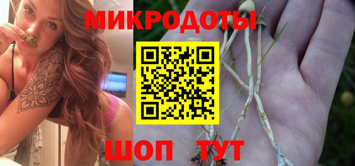 Псилоцибиновые грибы Magic Shrooms Кириши