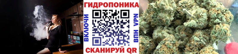 Бошки Шишки гибрид  Кириши 